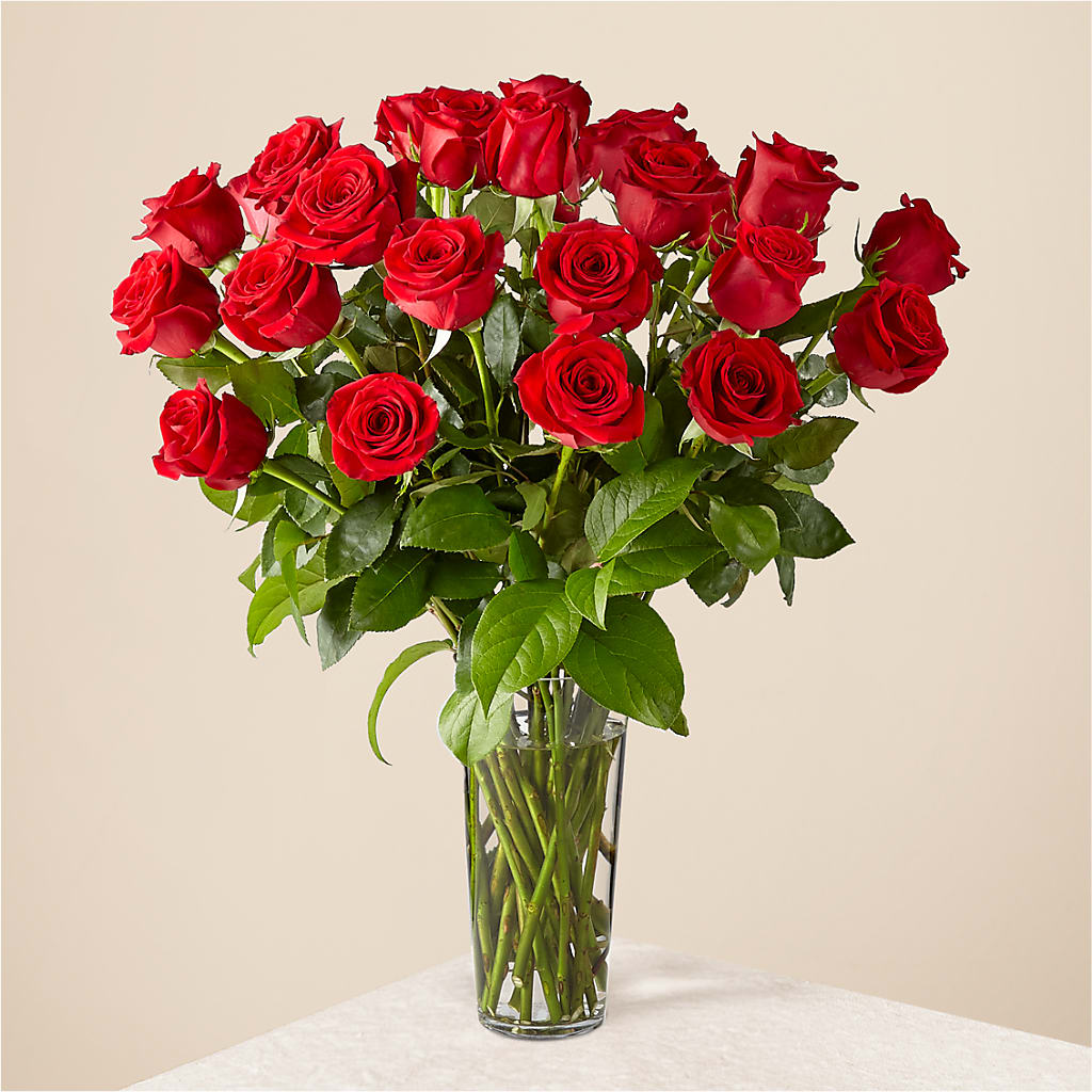 Long Stem Red Rose Bouquet – Four Seasons Flowers, Guelph ON