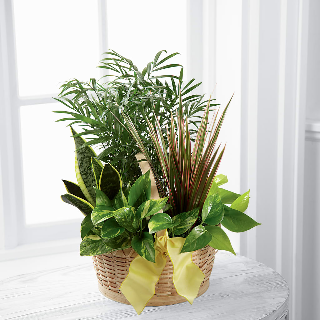 French Garden – Four Seasons Flowers, Guelph ON
