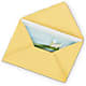 Greeting Card – Four Seasons Flowers, Guelph ON