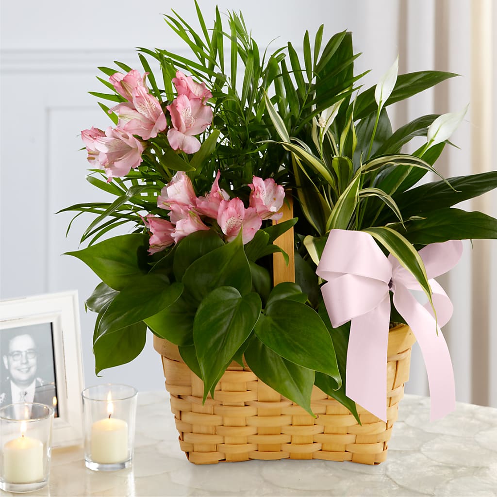 Living Spirit Dishgarden – Four Seasons Flowers, Guelph ON
