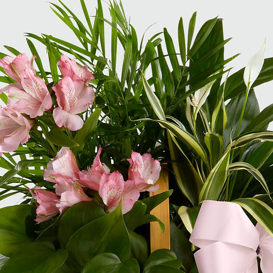 Living Spirit Dishgarden – Four Seasons Flowers, Guelph ON
