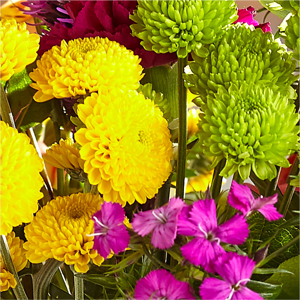 Bold & Bright – A Florist Original –  Four Seasons Flowers, Guelph ON