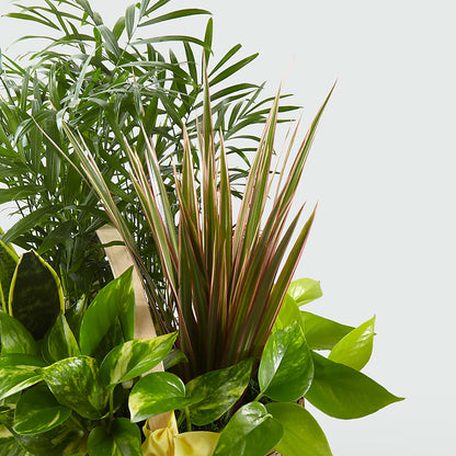 French Garden –  Four Seasons Flowers, Guelph ON