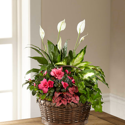 Dream in Pink Dishgarden –  Four Seasons Flowers, Guelph ON