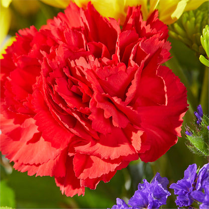 Brighter Days Bouquet –  Four Seasons Flowers, Guelph ON