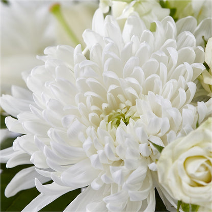 Classic Ivory – A Florist Original –  Four Seasons Flowers, Guelph ON