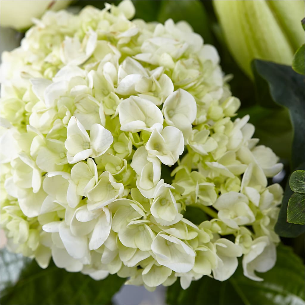 Classic Ivory – A Florist Original –  Four Seasons Flowers, Guelph ON