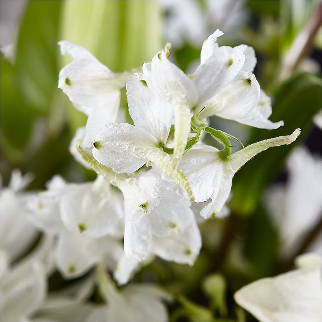 Classic Ivory – A Florist Original –  Four Seasons Flowers, Guelph ON