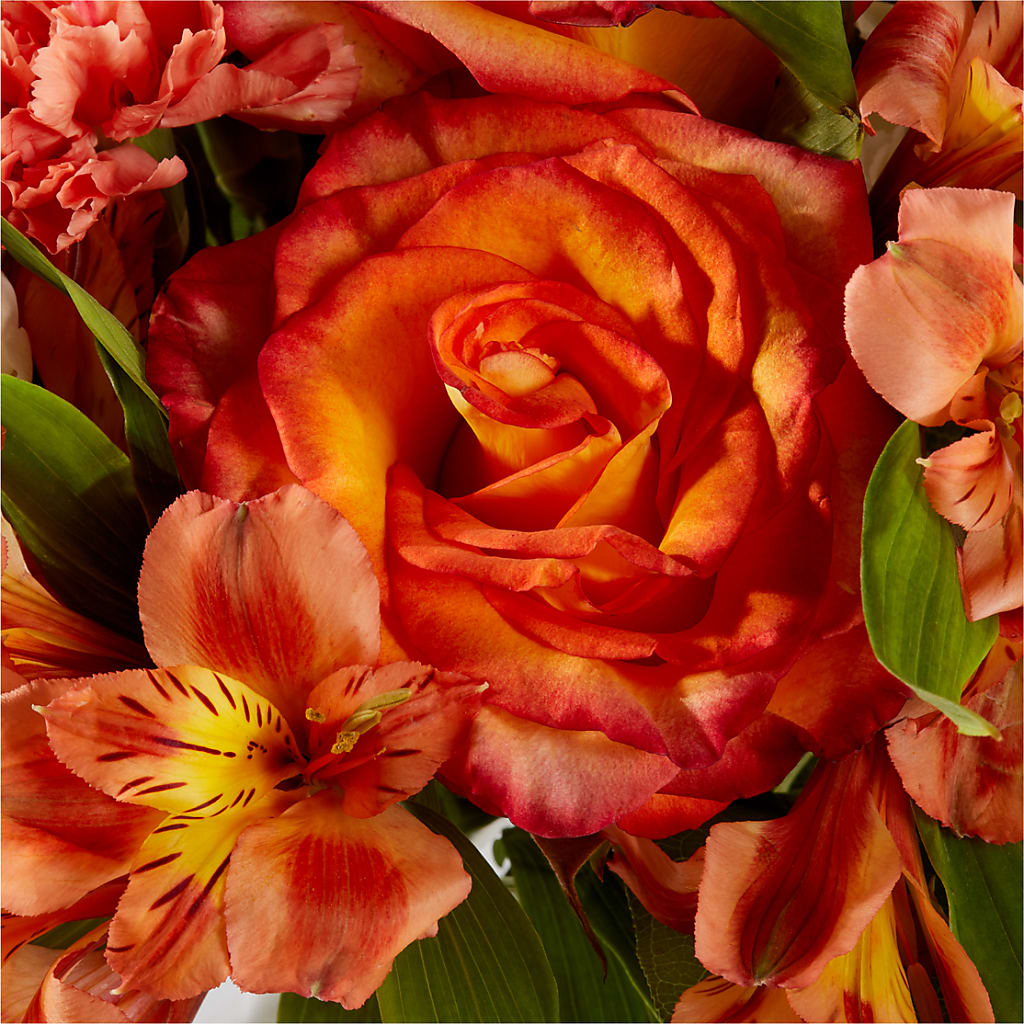 Apricot Glow Bouquet –  Four Seasons Flowers, Guelph ON