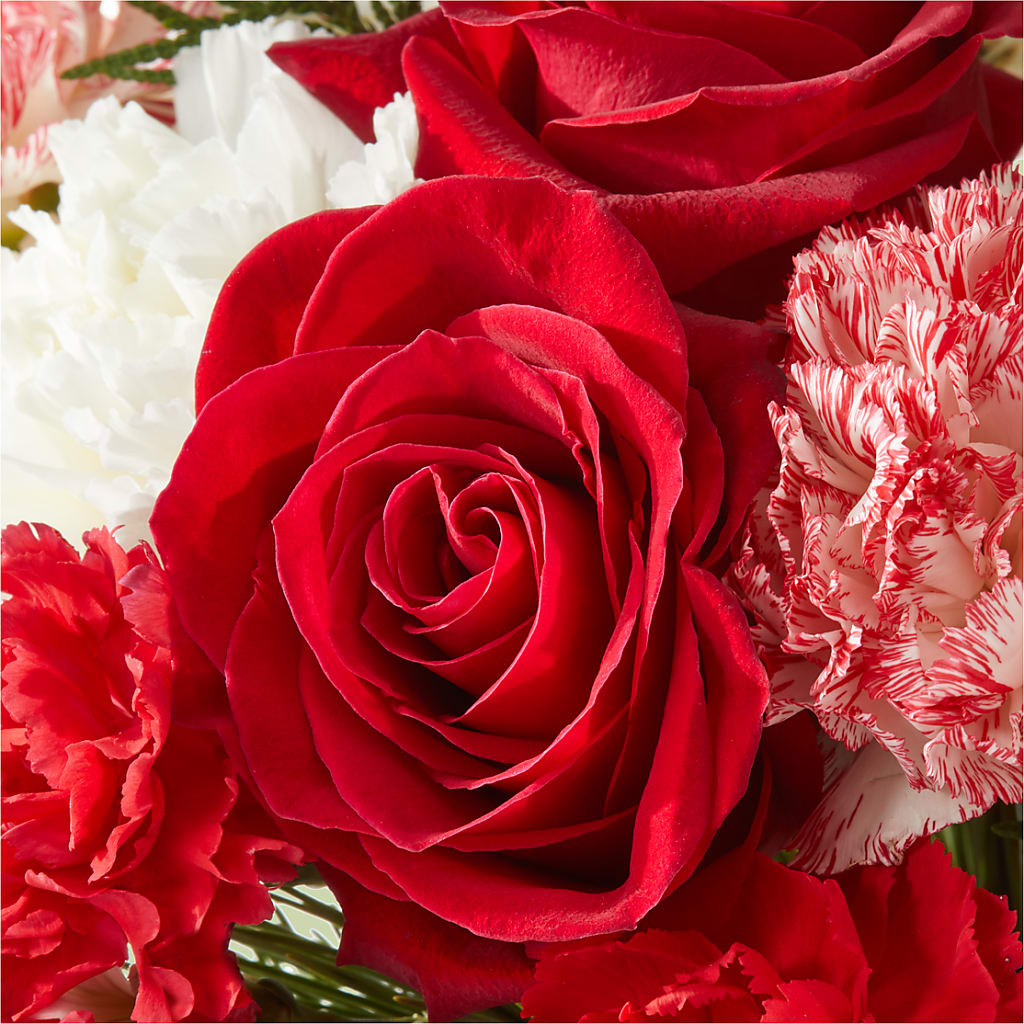 Candy Cane Lane Bouquet –  Four Seasons Flowers, Guelph ON