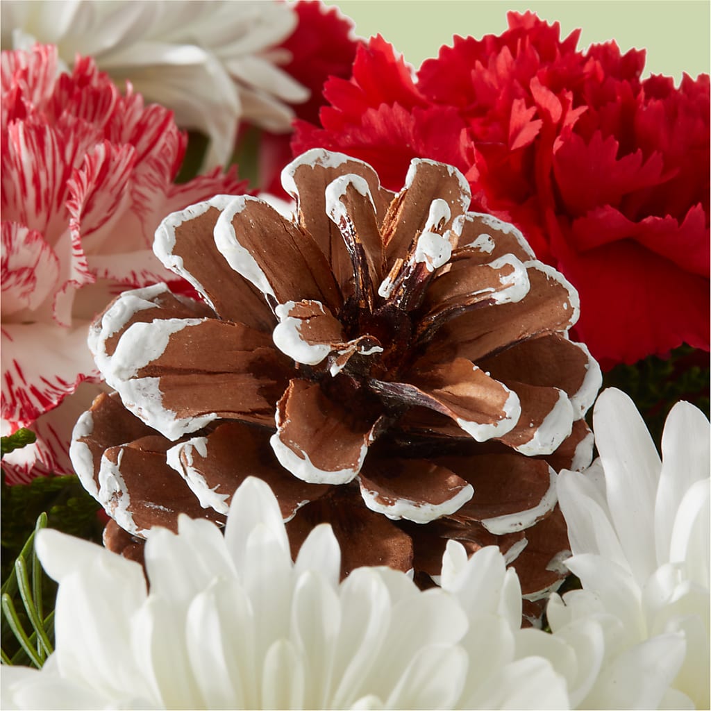 Candy Cane Lane Bouquet –  Four Seasons Flowers, Guelph ON