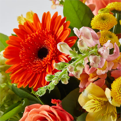 Autumn Sunshine Bouquet –  Four Seasons Flowers, Guelph ON