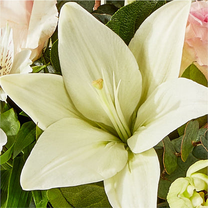 Ballet Slippers Bouquet –  Four Seasons Flowers, Guelph ON